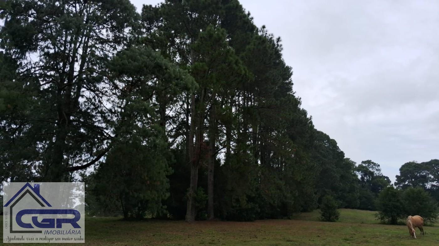 Loteamento e Condomínio, 14 hectares - Foto 9