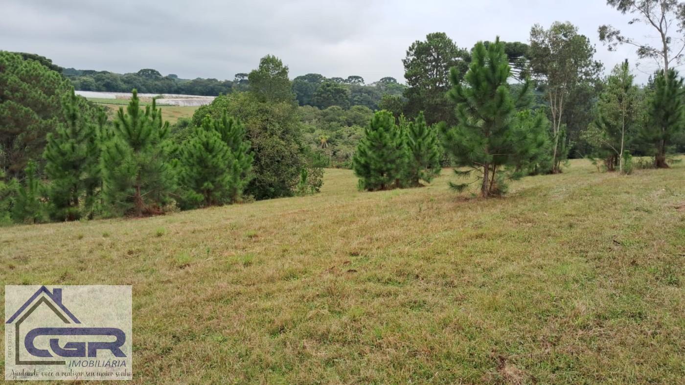 Loteamento e Condomínio, 14 hectares - Foto 11