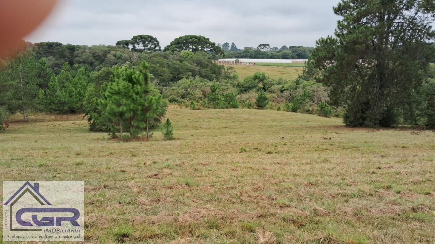 Loteamento e Condomínio, 14 hectares - Foto 12