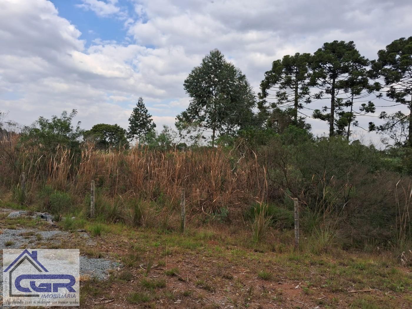 Loteamento e Condomínio, 1 hectares - Foto 3