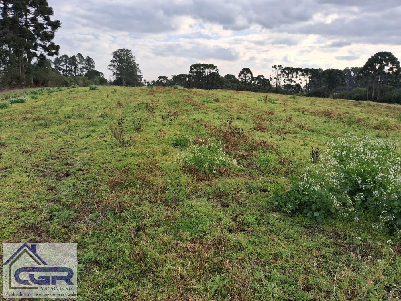 Loteamento e Condomínio, 1 hectares - Foto 5