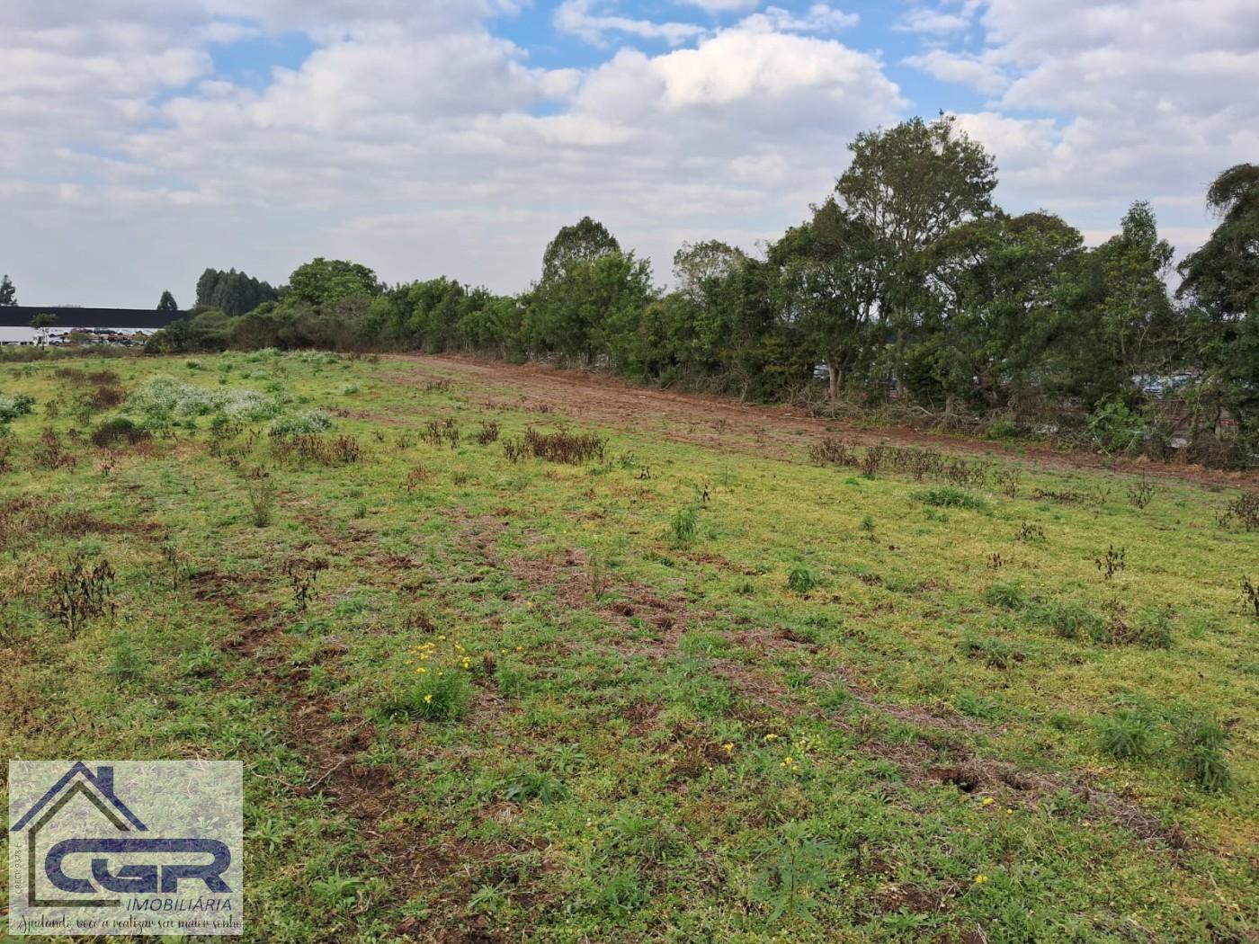 Loteamento e Condomínio, 1 hectares - Foto 4