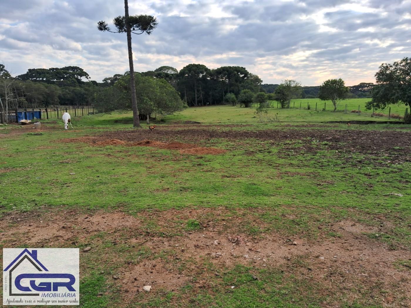 Loteamento e Condomínio, 1 hectares - Foto 5