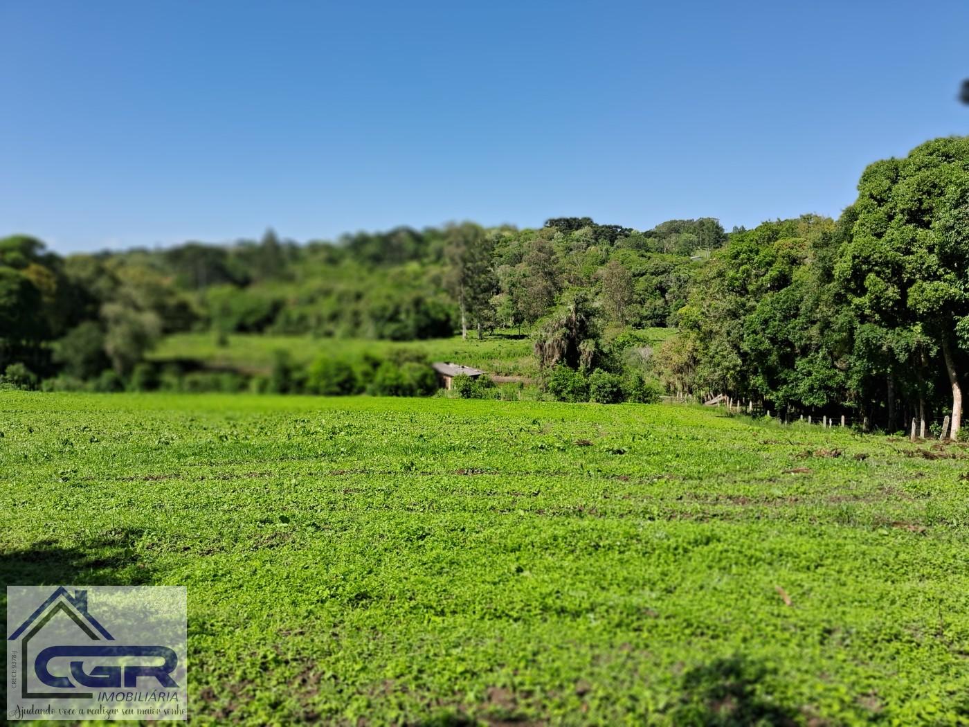 Chácara, 3 quartos, 3 hectares - Foto 1