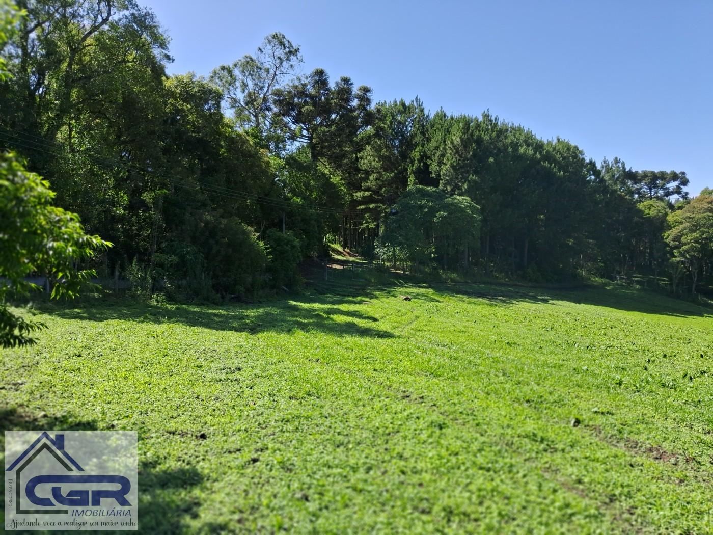 Chácara, 3 quartos, 3 hectares - Foto 10