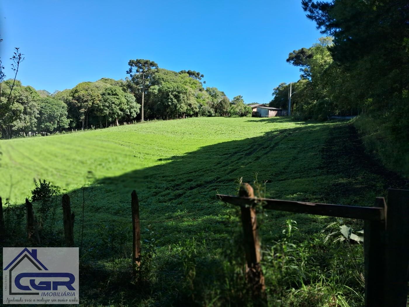 Chácara, 3 quartos, 3 hectares - Foto 11