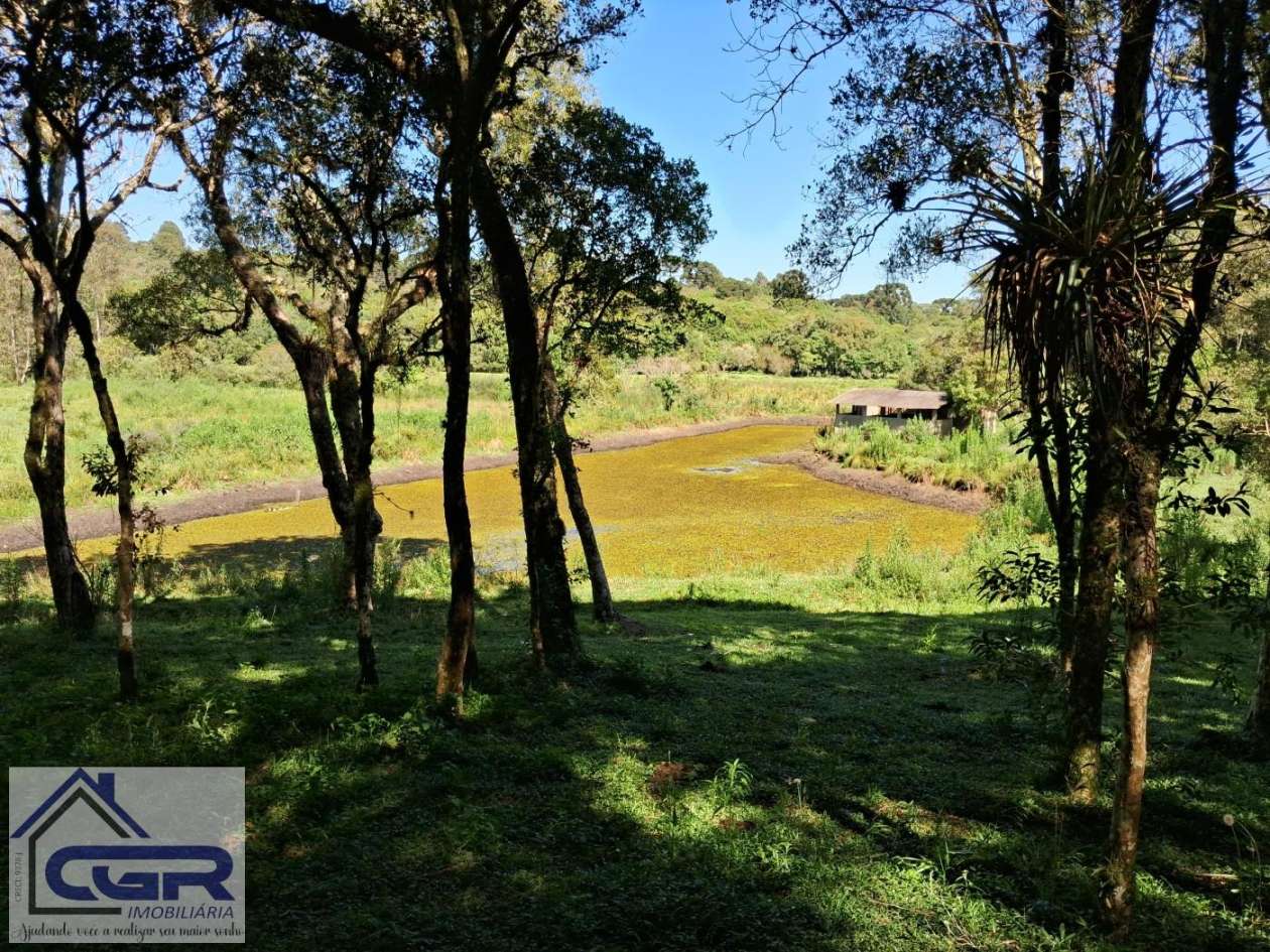 Chácara, 3 quartos, 3 hectares - Foto 12