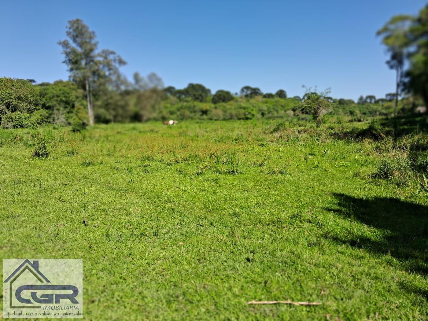 Chácara, 3 quartos, 3 hectares - Foto 13