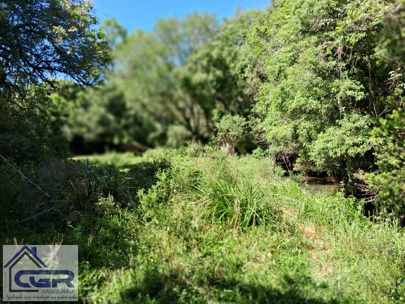 Chácara, 3 quartos, 3 hectares - Foto 14