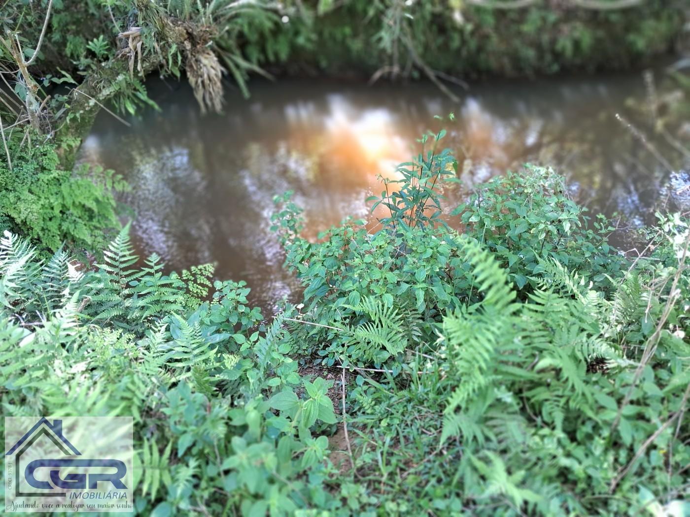 Chácara, 3 quartos, 3 hectares - Foto 15