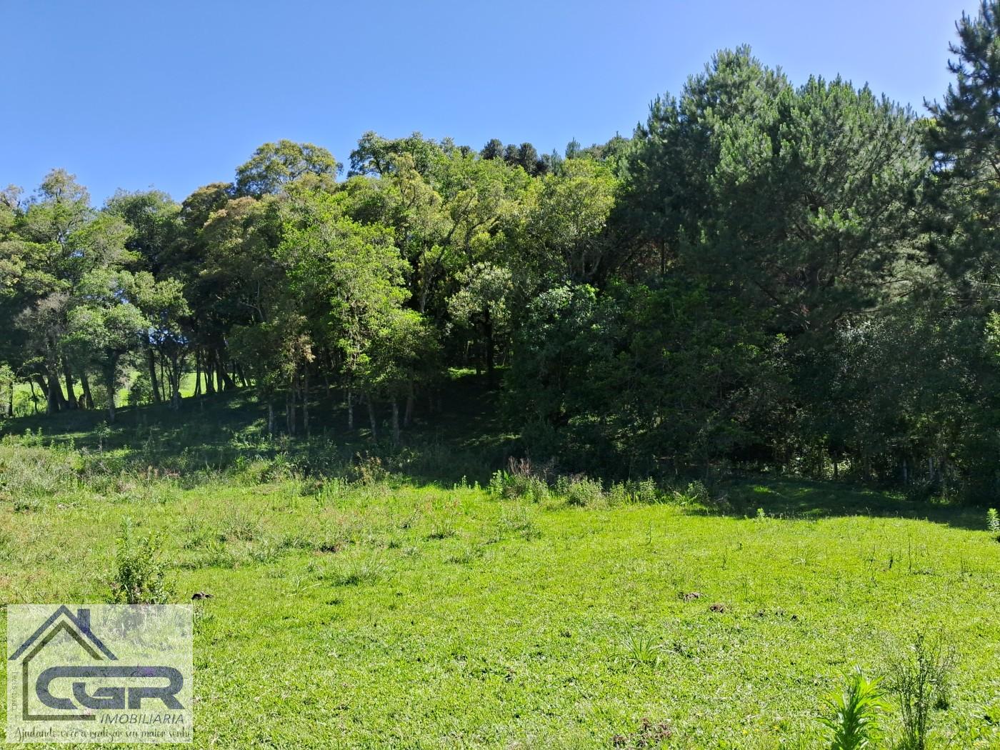 Chácara, 3 quartos, 3 hectares - Foto 16