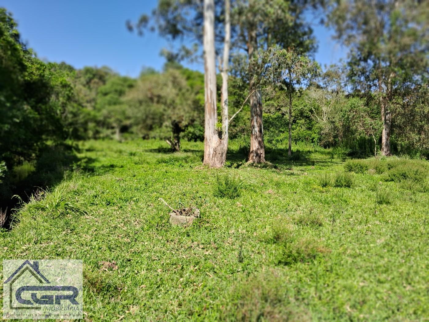 Chácara, 3 quartos, 3 hectares - Foto 18