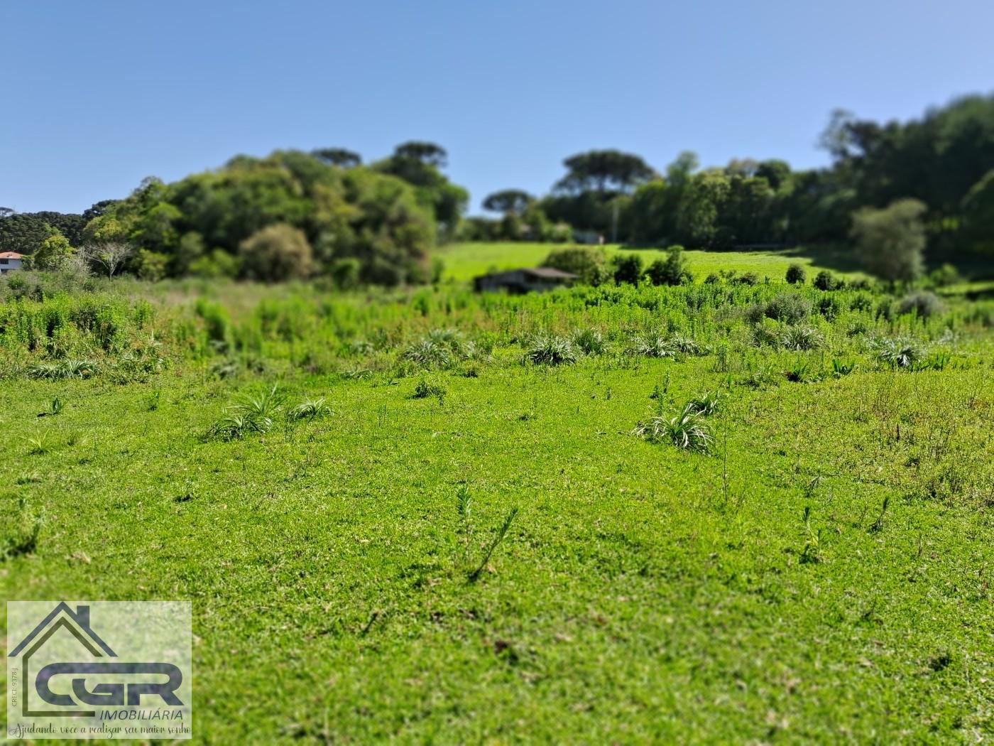 Chácara, 3 quartos, 3 hectares - Foto 19