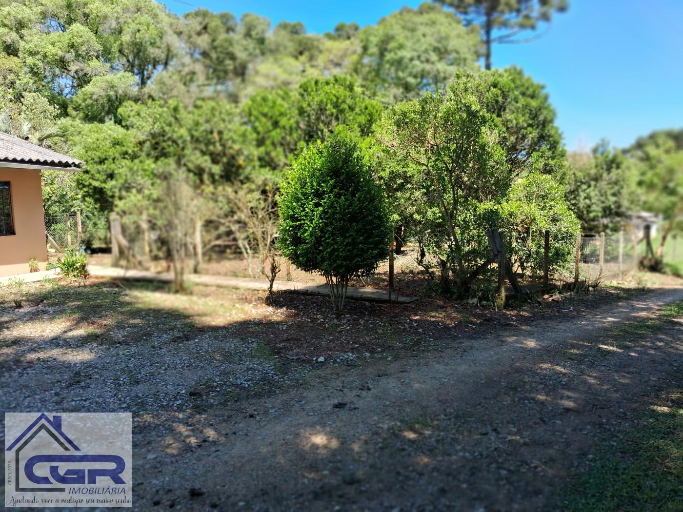 Chácara, 3 quartos, 3 hectares - Foto 4