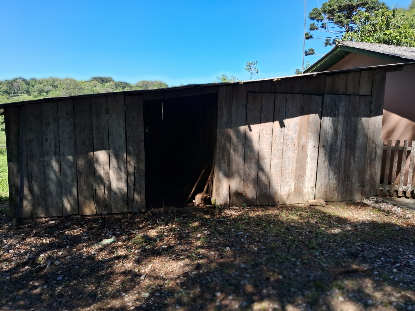 Chácara, 3 quartos, 3 hectares - Foto 7