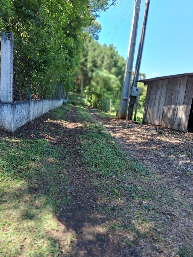 Chácara, 3 quartos, 3 hectares - Foto 21