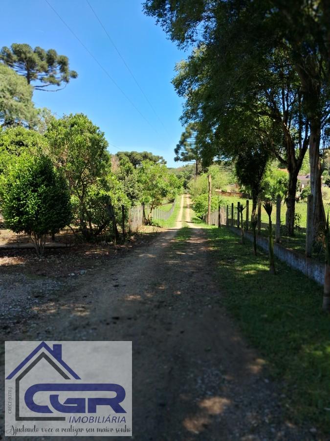 Chácara, 3 quartos, 3 hectares - Foto 22