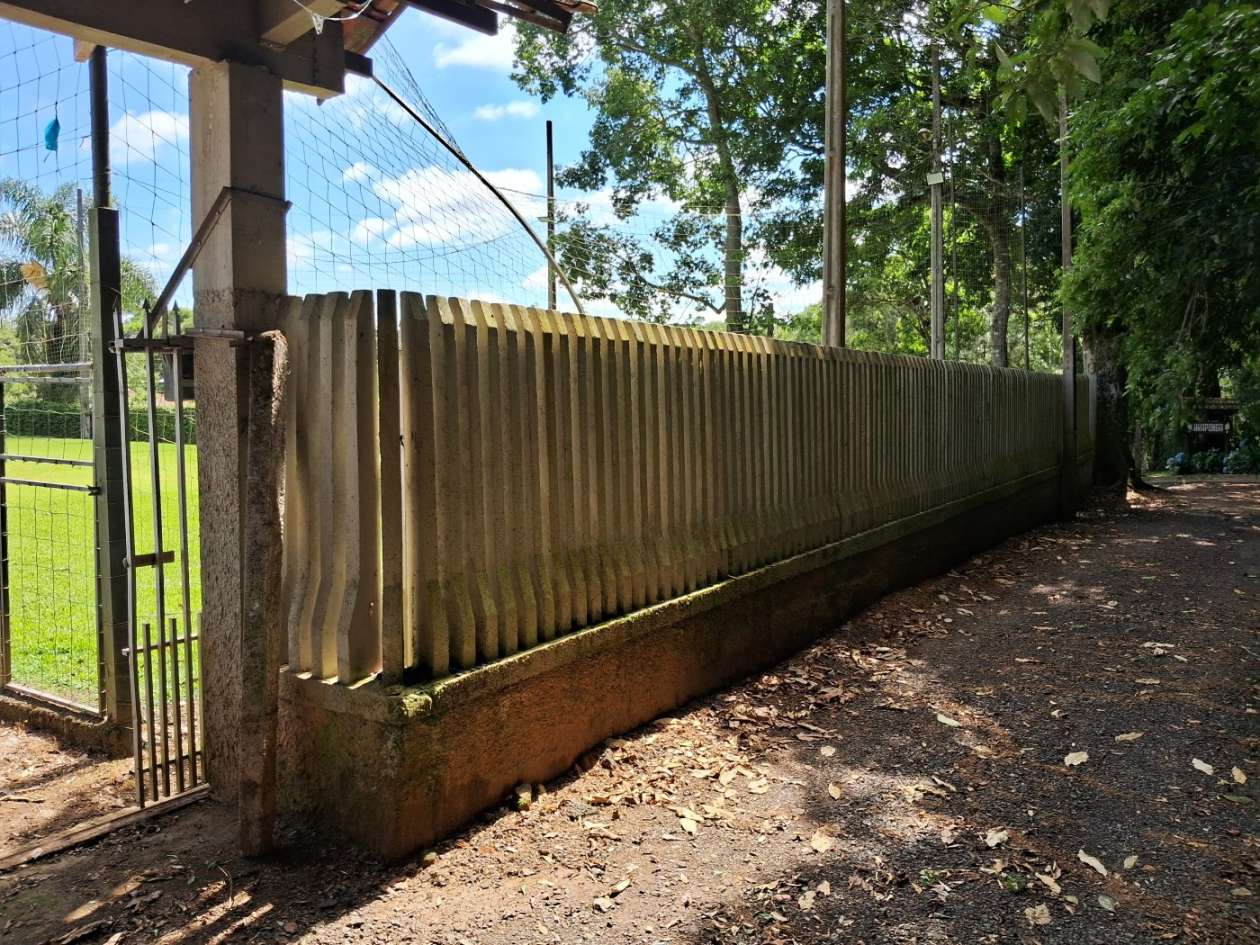 Chácara, 3 quartos, 2395 m² - Foto 6